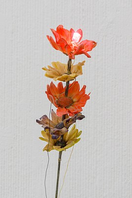 Image 16 of 33