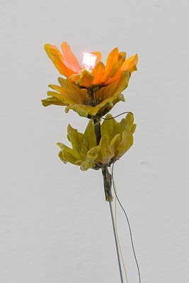 Image 21 of 33