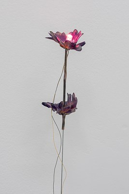 Image 20 of 33