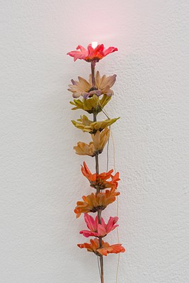 Image 25 of 33