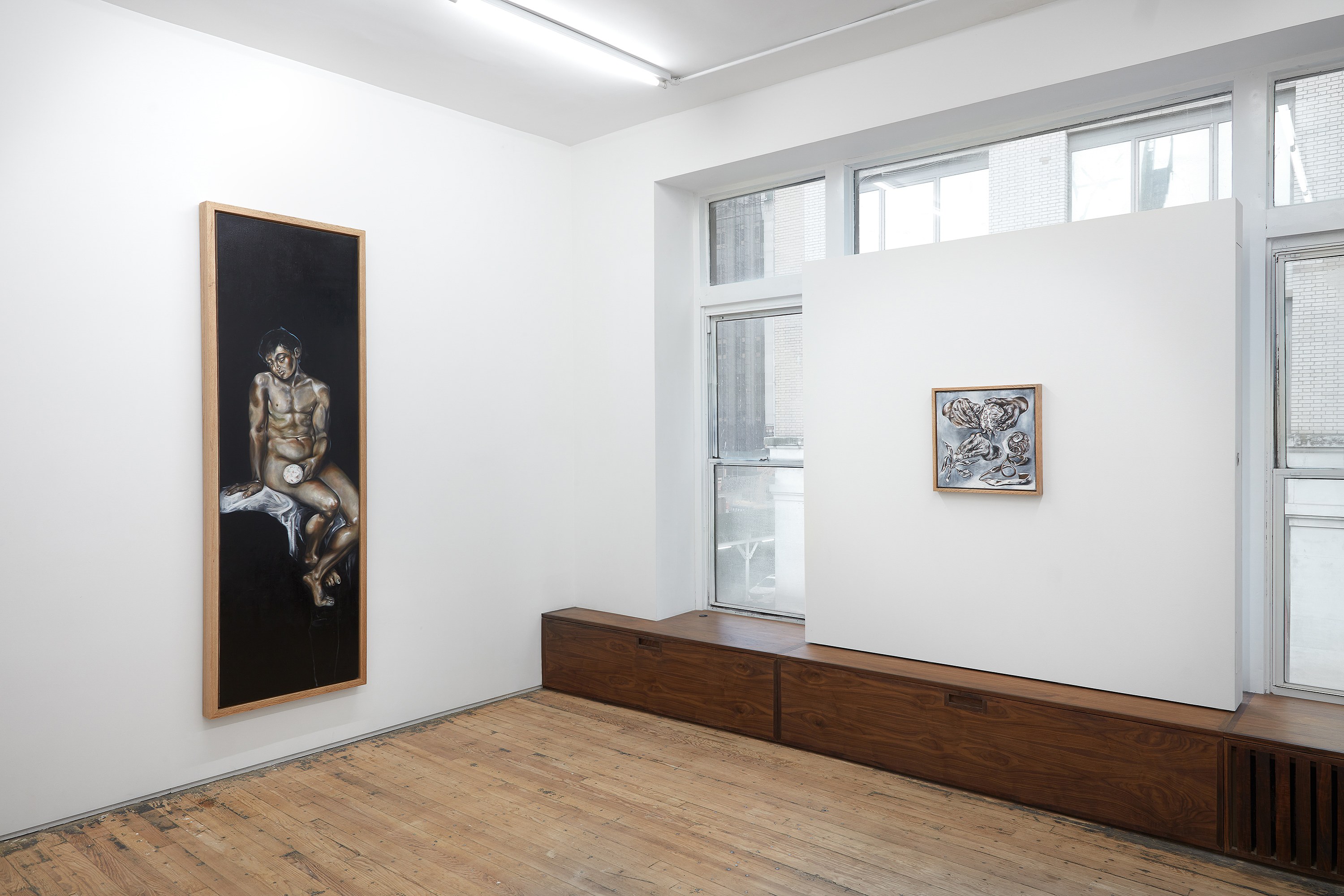 Karla Kaplun, How Bright is the Sun? at Francis Irv, photo 3