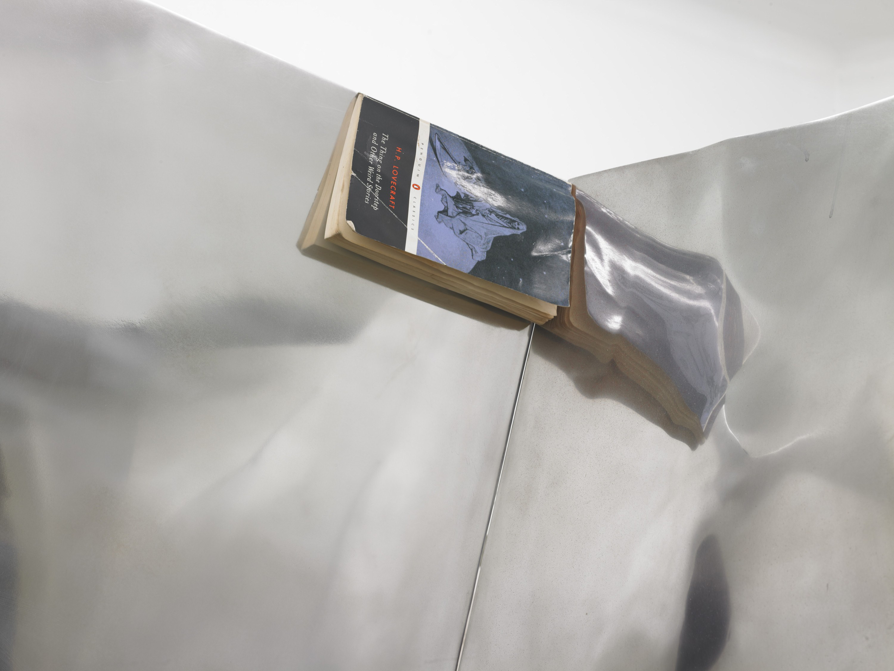 The Big Inexplicable Paravent Illusion, The Big Inexplicable Paravent Illusion at Isabella Bortolozzi, photo 34