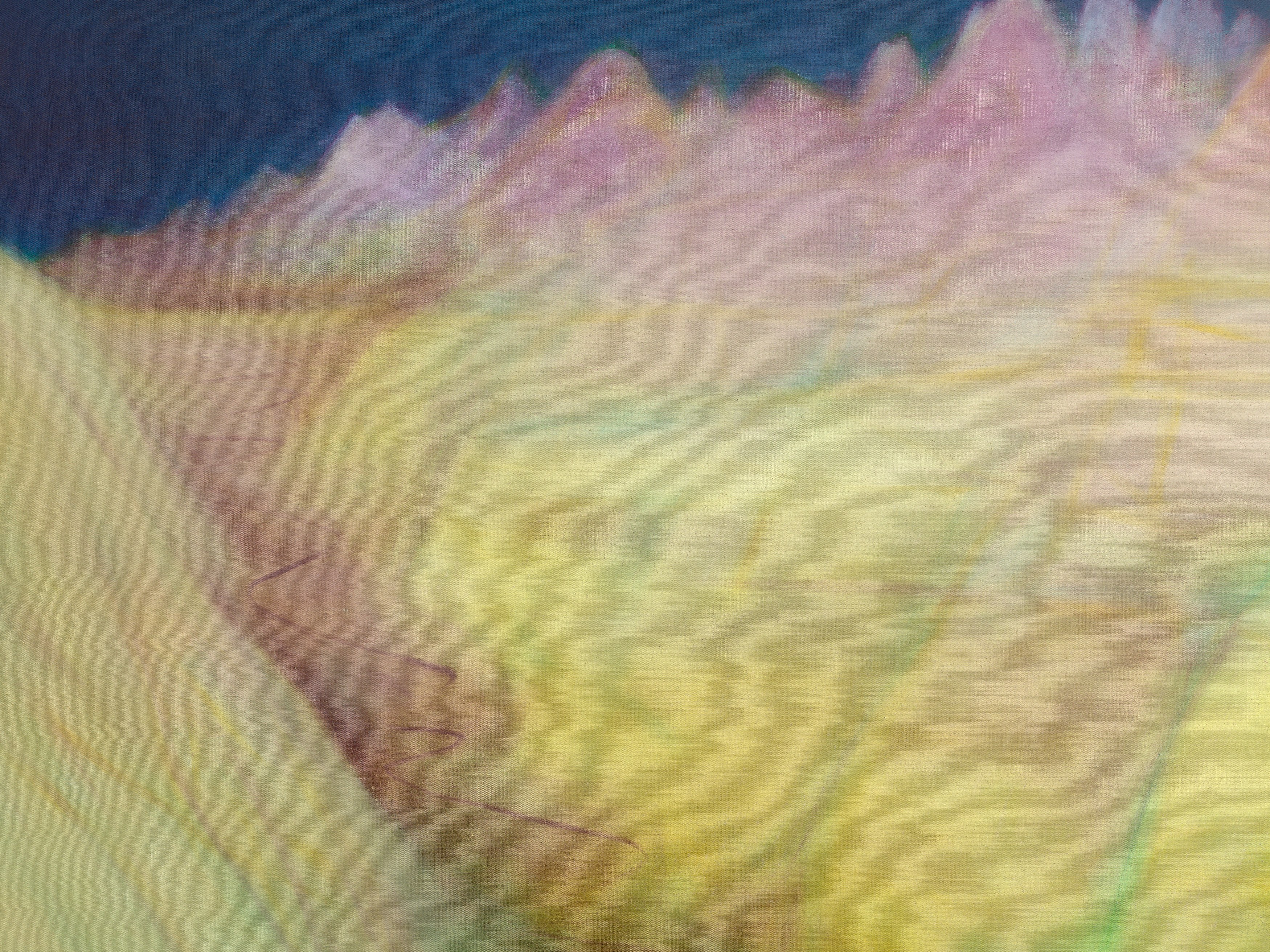 Miriam Cahn, Solitude at Maria Bernheim, photo 10