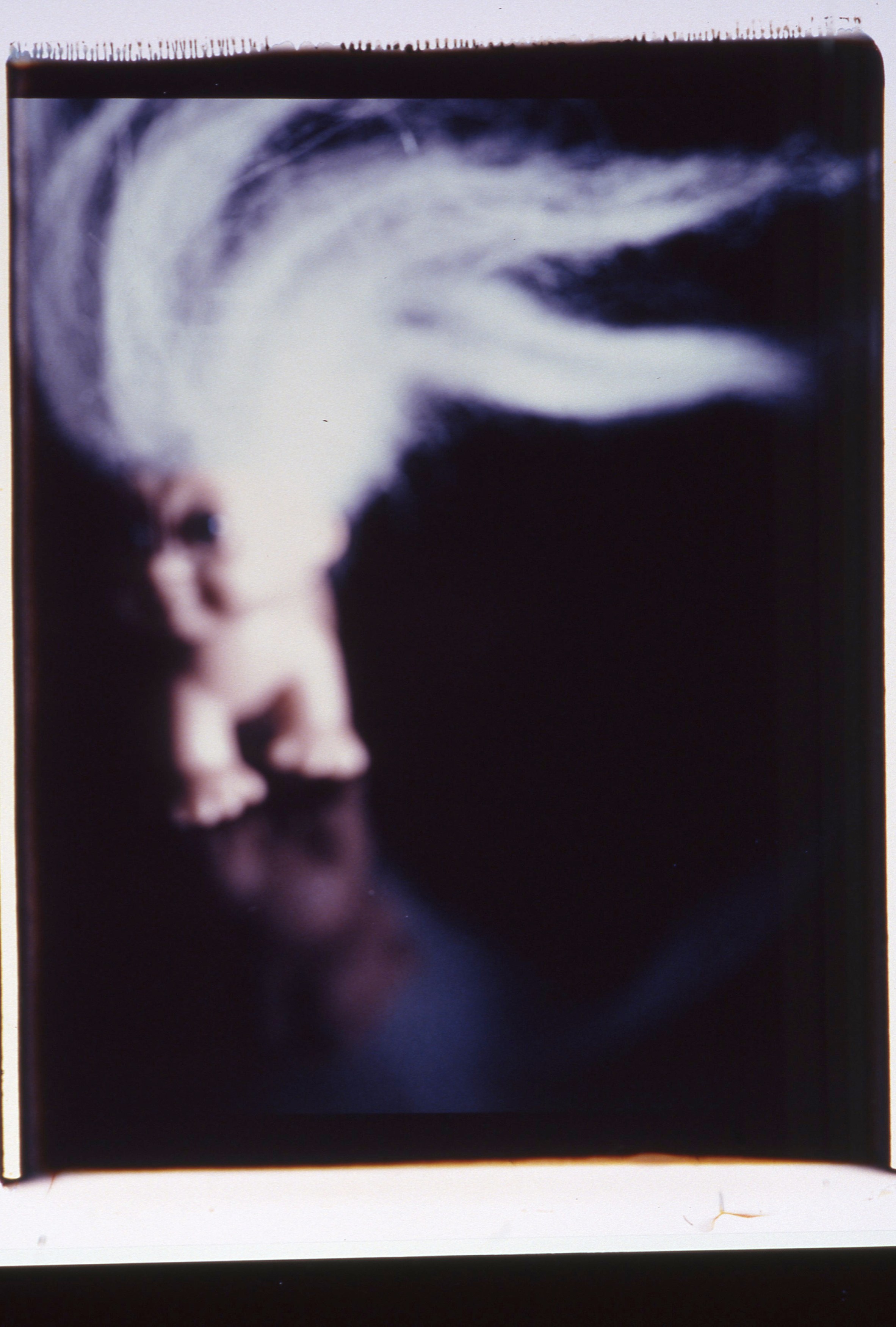 Lutz Bacher, Little People at Taxter and Spengemann, photo 19