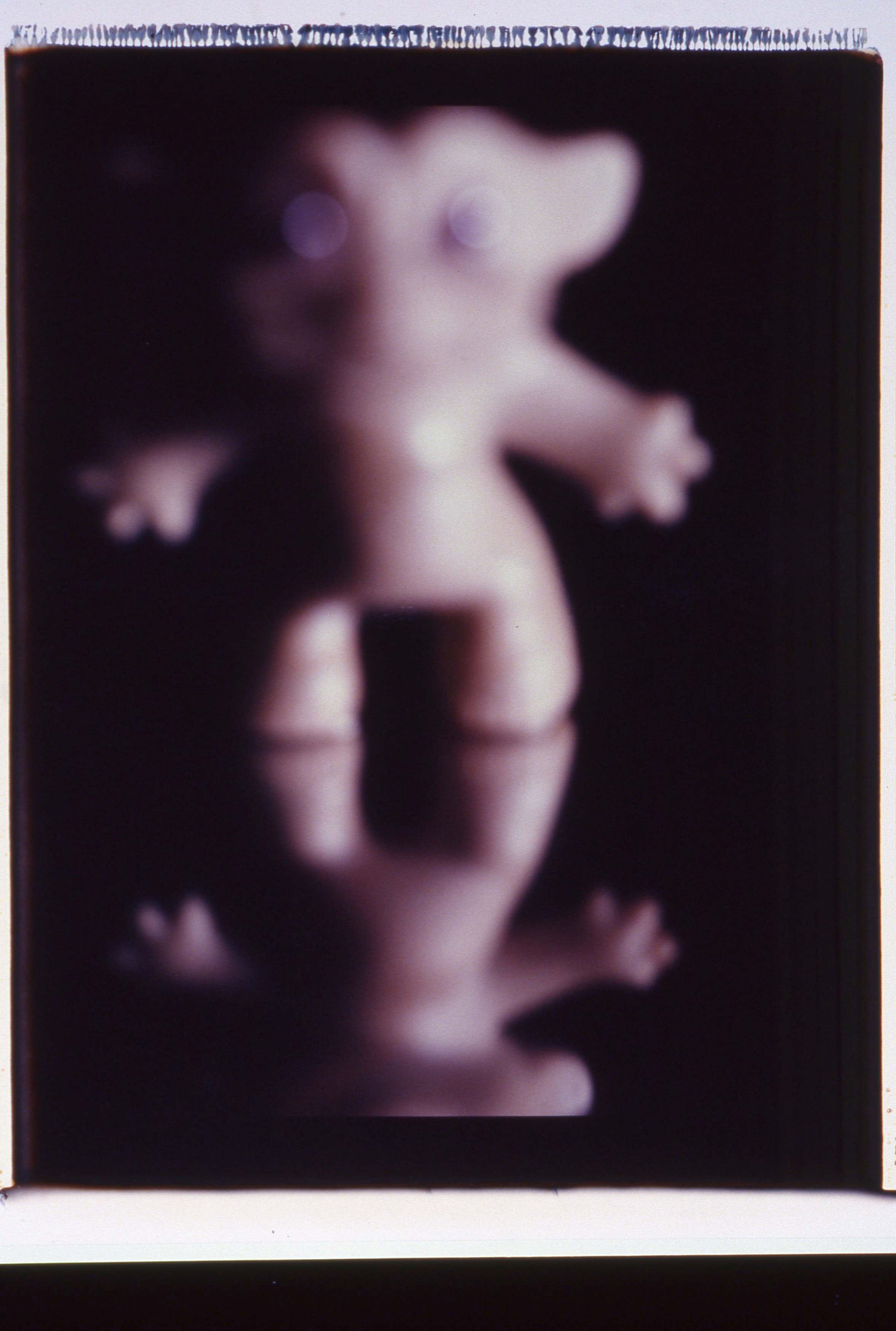 Lutz Bacher, Little People at Taxter and Spengemann, photo 21