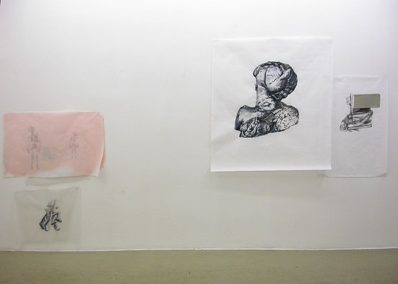 Image 2 of 17