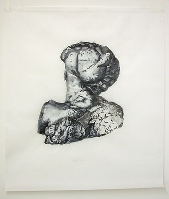 Image 11 of 17