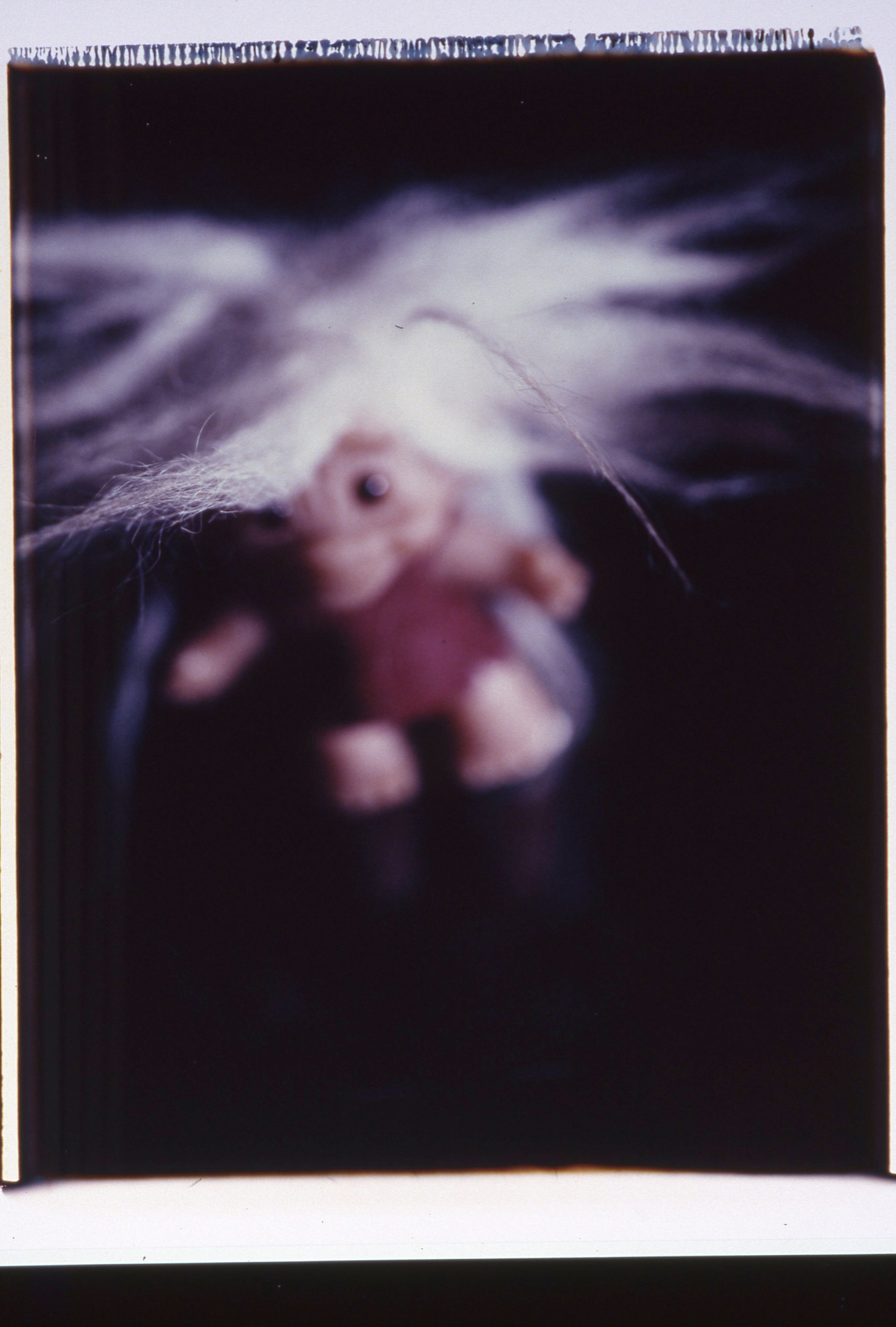 Lutz Bacher, Little People at Taxter and Spengemann, photo 11