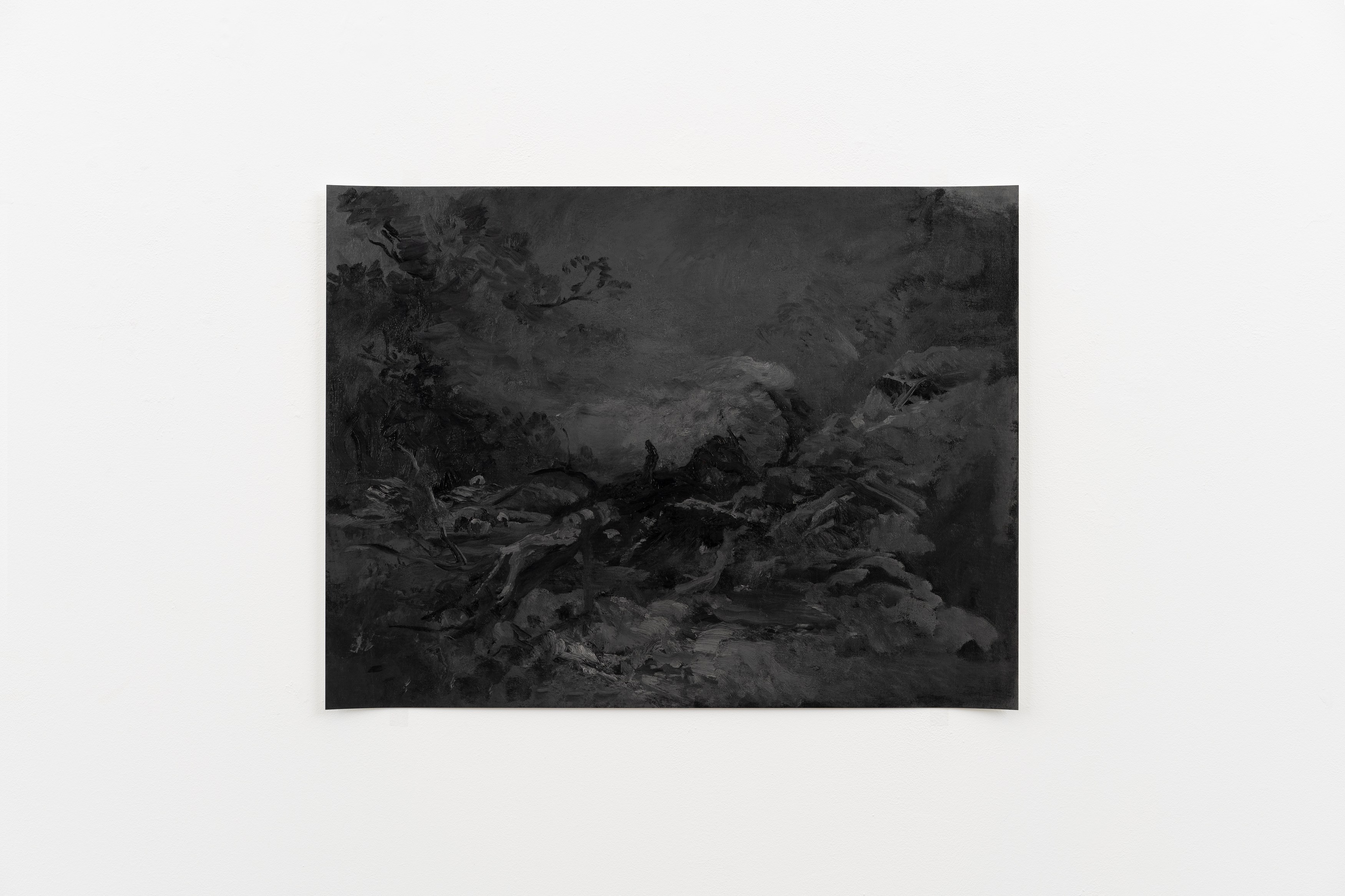 Constantin Thun, Untitled at Sweetwater, photo 23
