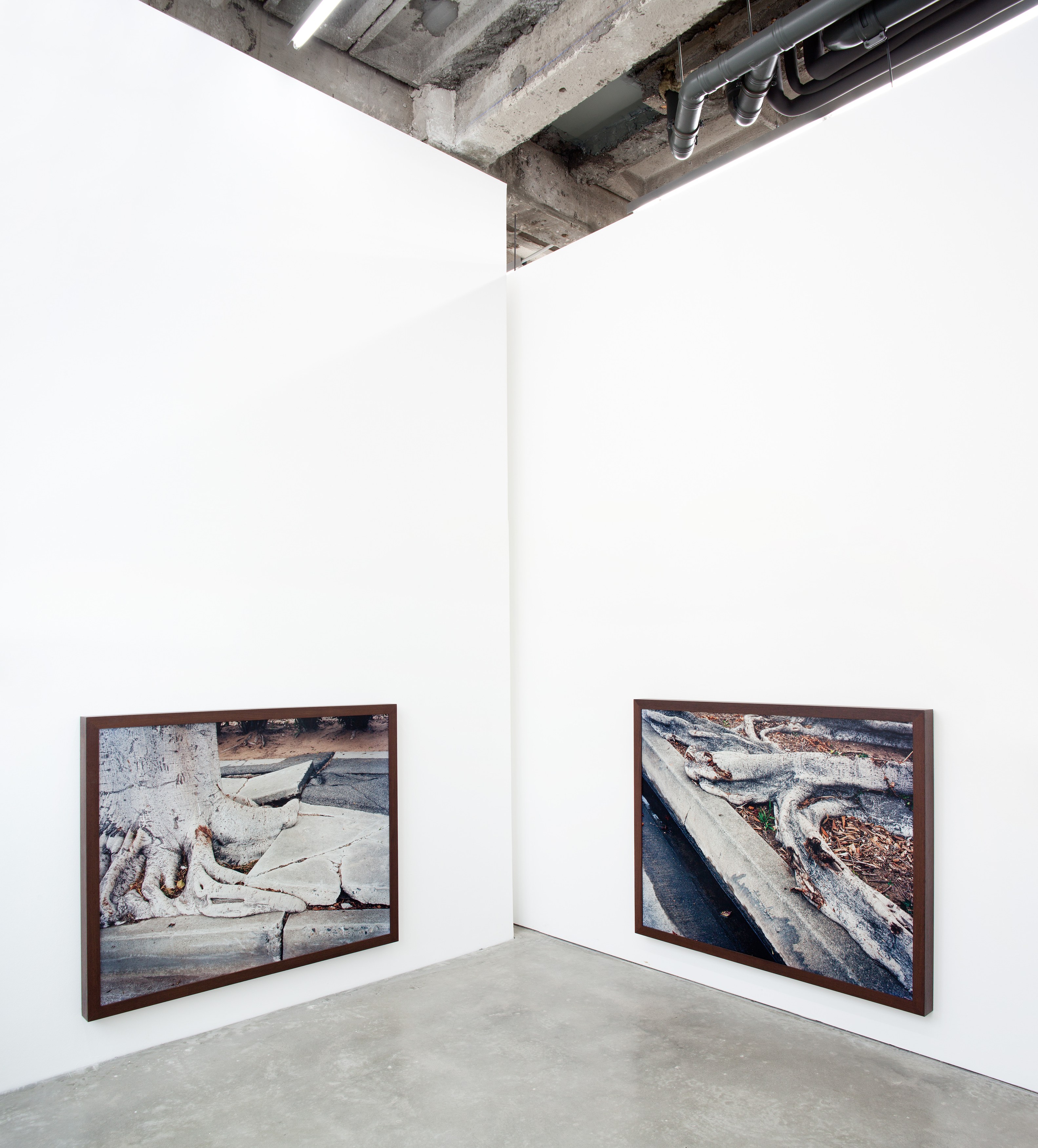 my.LA, my.LA at Sammlung Haubrok and Paris Bar, Berlin, photo 4