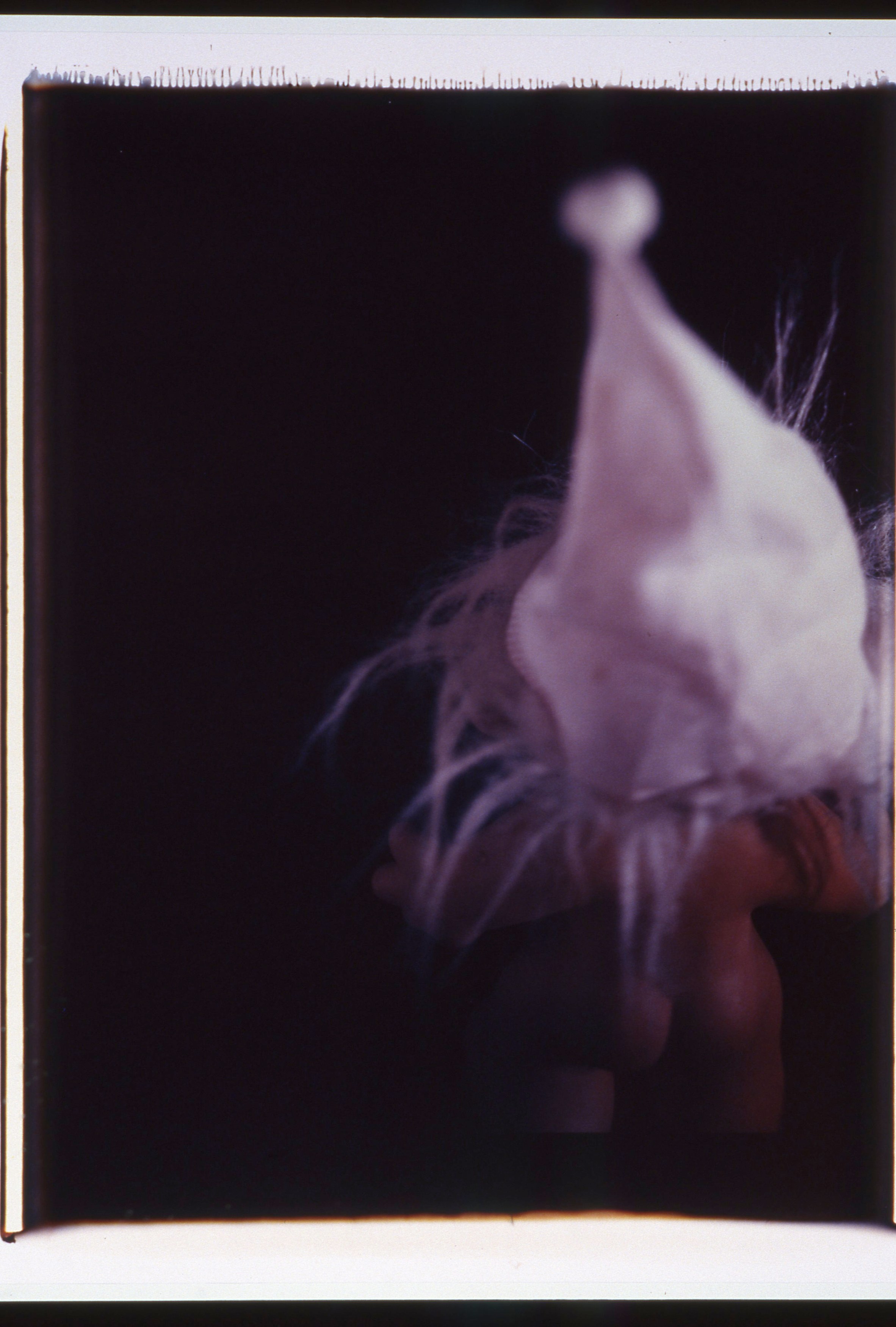 Lutz Bacher, Little People at Taxter and Spengemann, photo 16