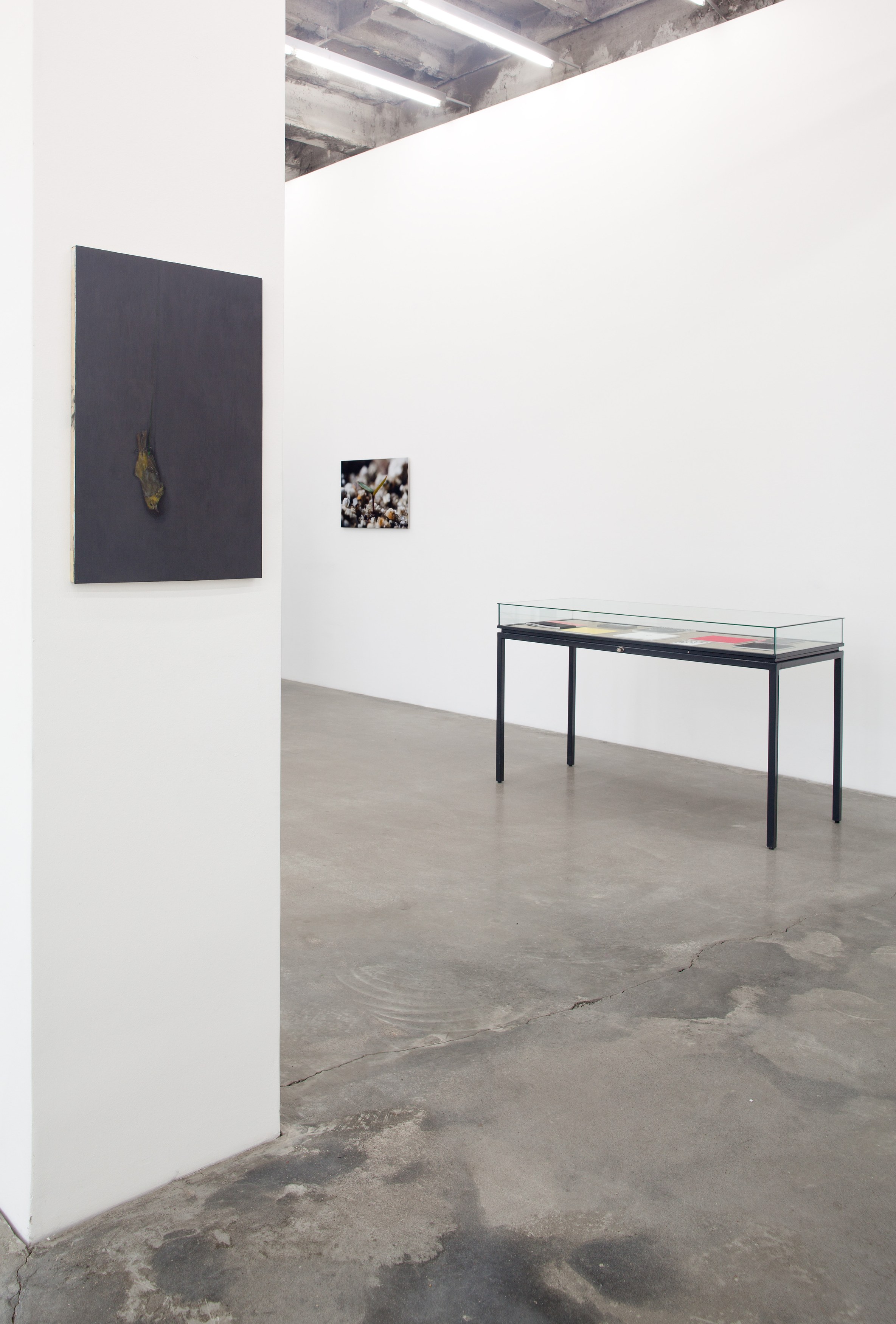 my.LA, my.LA at Sammlung Haubrok and Paris Bar, Berlin, photo 5