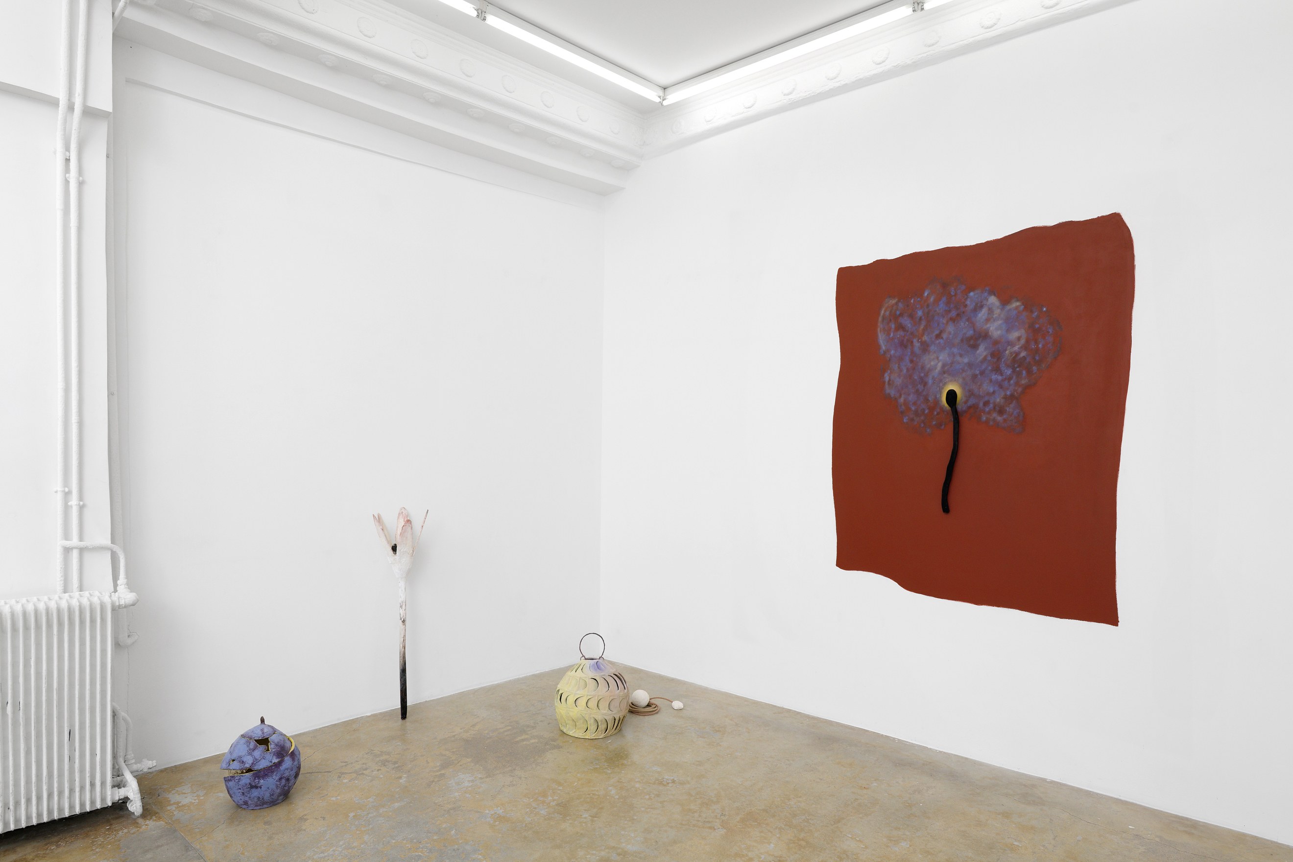 Lucille Uhlrich, Ragged and dirty at Galerie Florence Loewy, photo 2