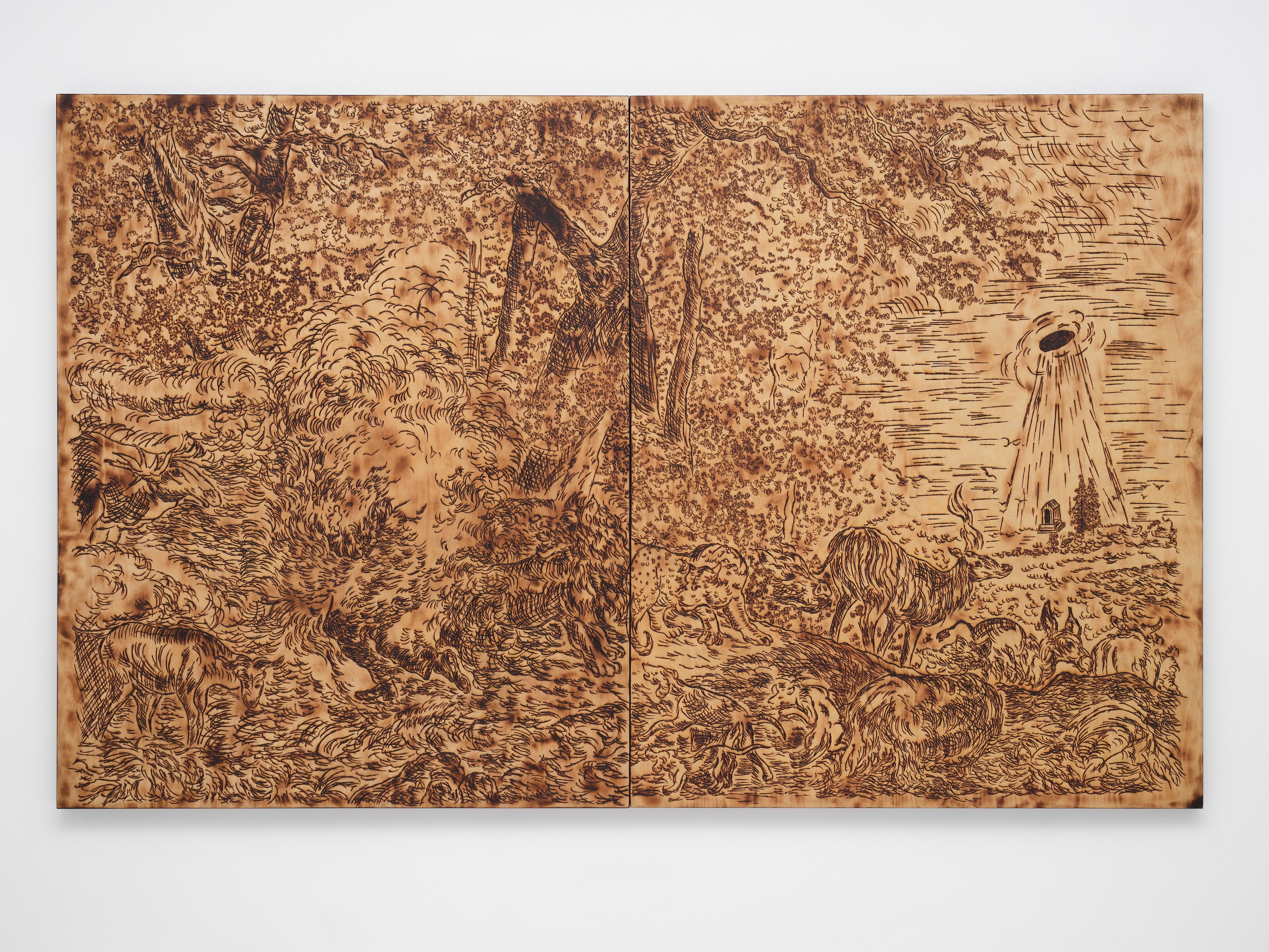 Cole Lu, Amnesia at Museum St, photo 30