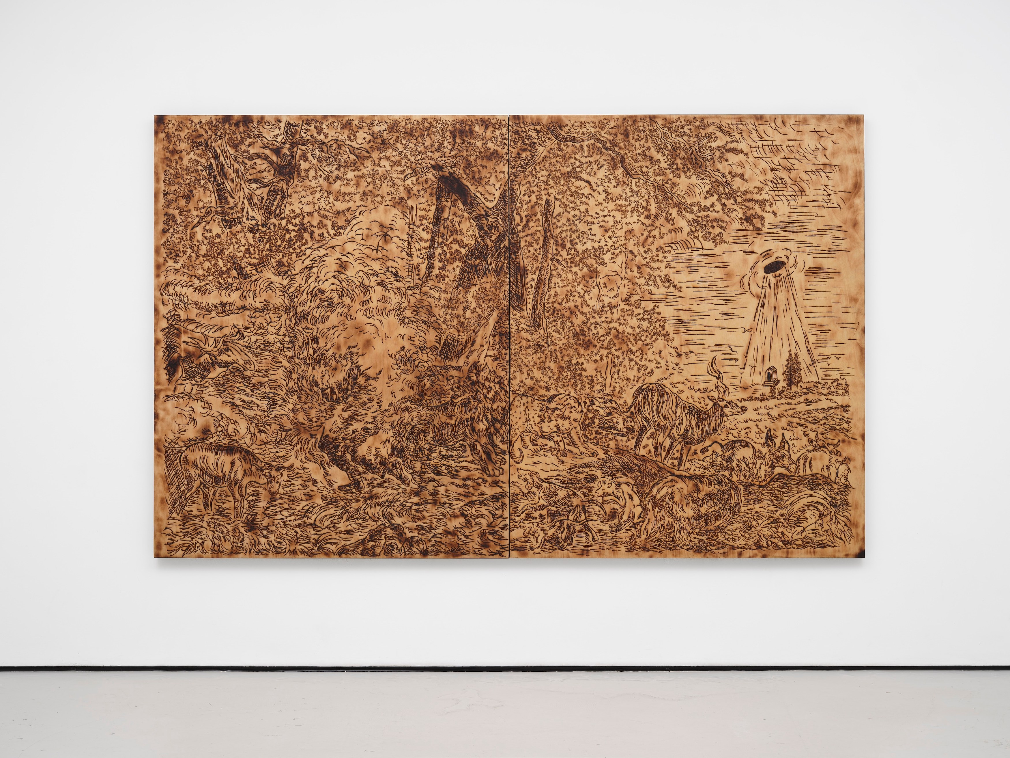 Cole Lu, Amnesia at Museum St, photo 31