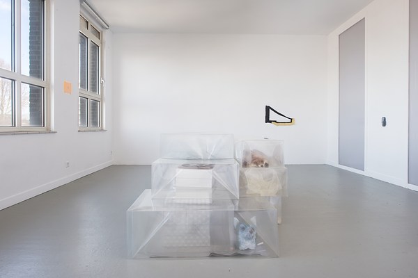 Image 7 of 14