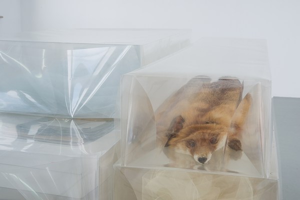 Image 11 of 14