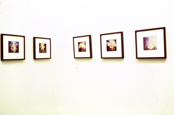Image 7 of 27