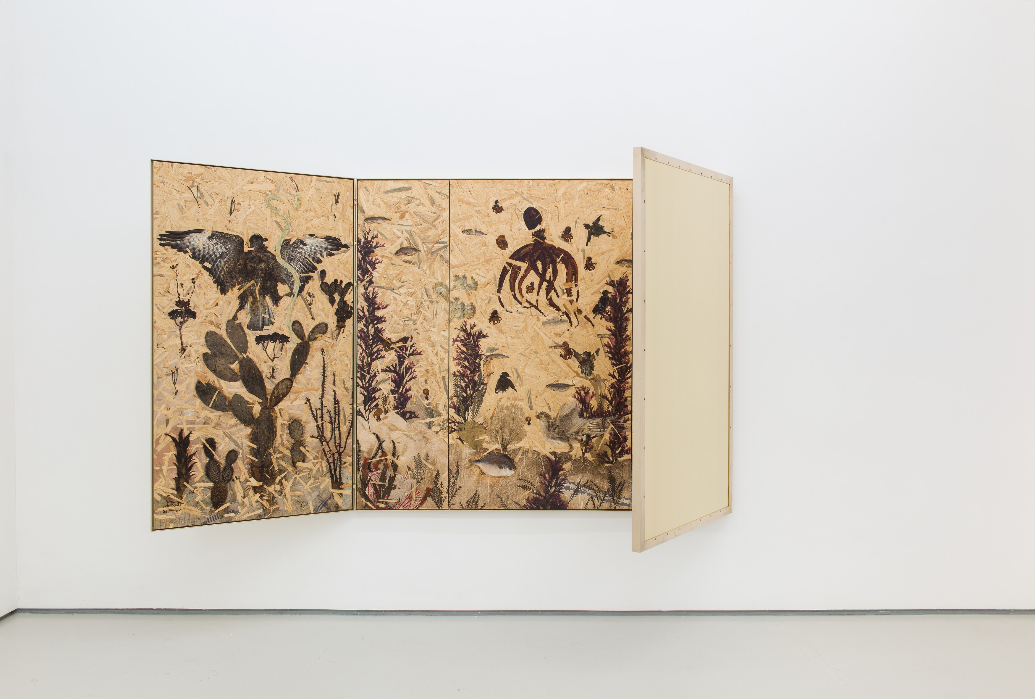 Julius von Bismarck, Grenzen der Intelligenzen at alexander levy, Berlin and LEVY Galerie, Berlin, photo 4