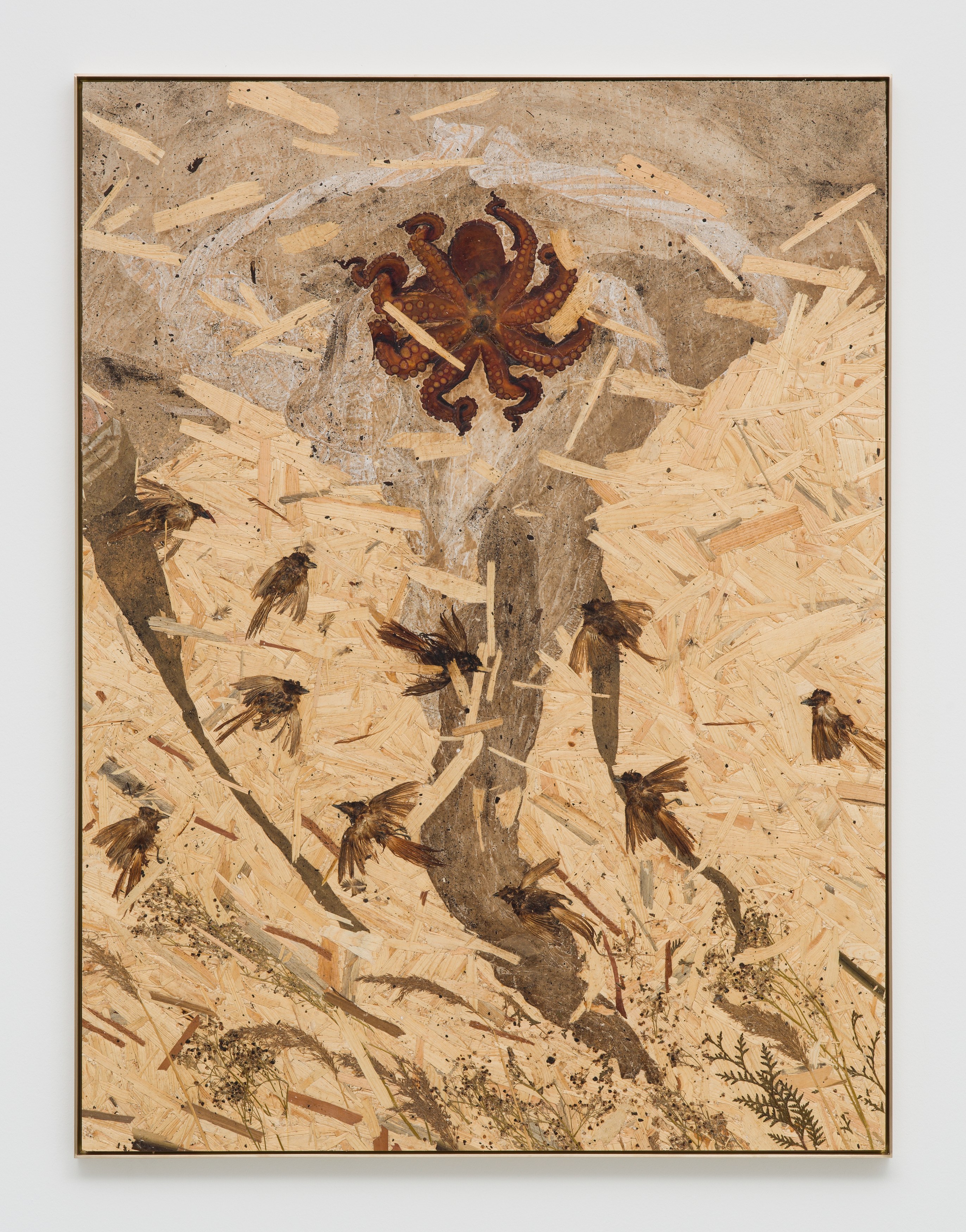 Julius von Bismarck, Grenzen der Intelligenzen at alexander levy, Berlin and LEVY Galerie, Berlin, photo 5