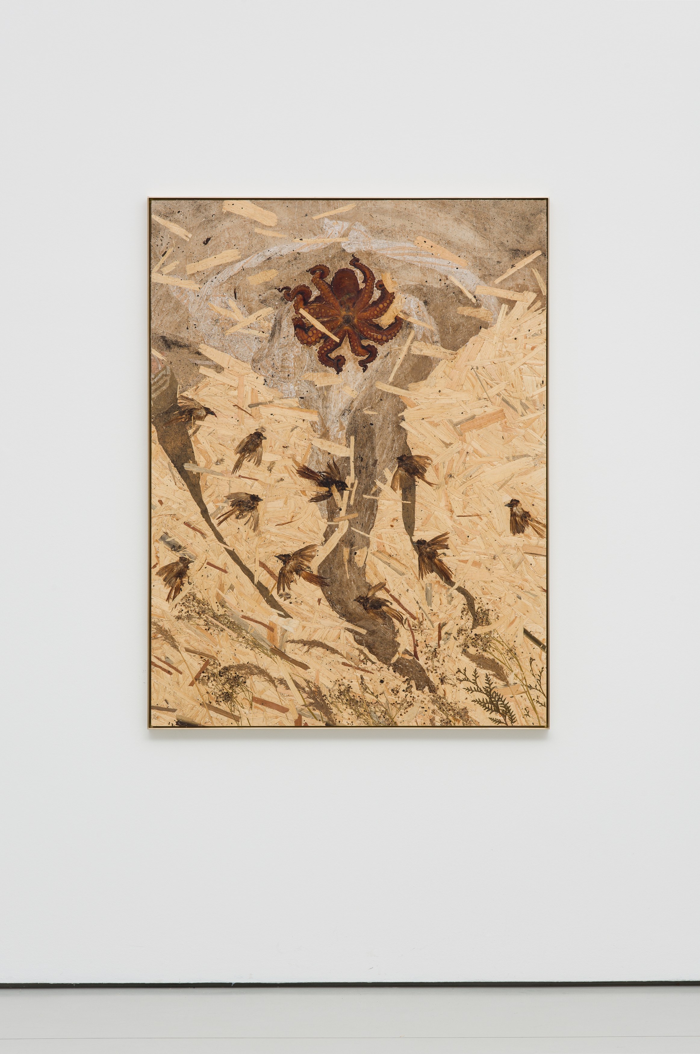 Julius von Bismarck, Grenzen der Intelligenzen at alexander levy, Berlin and LEVY Galerie, Berlin, photo 6