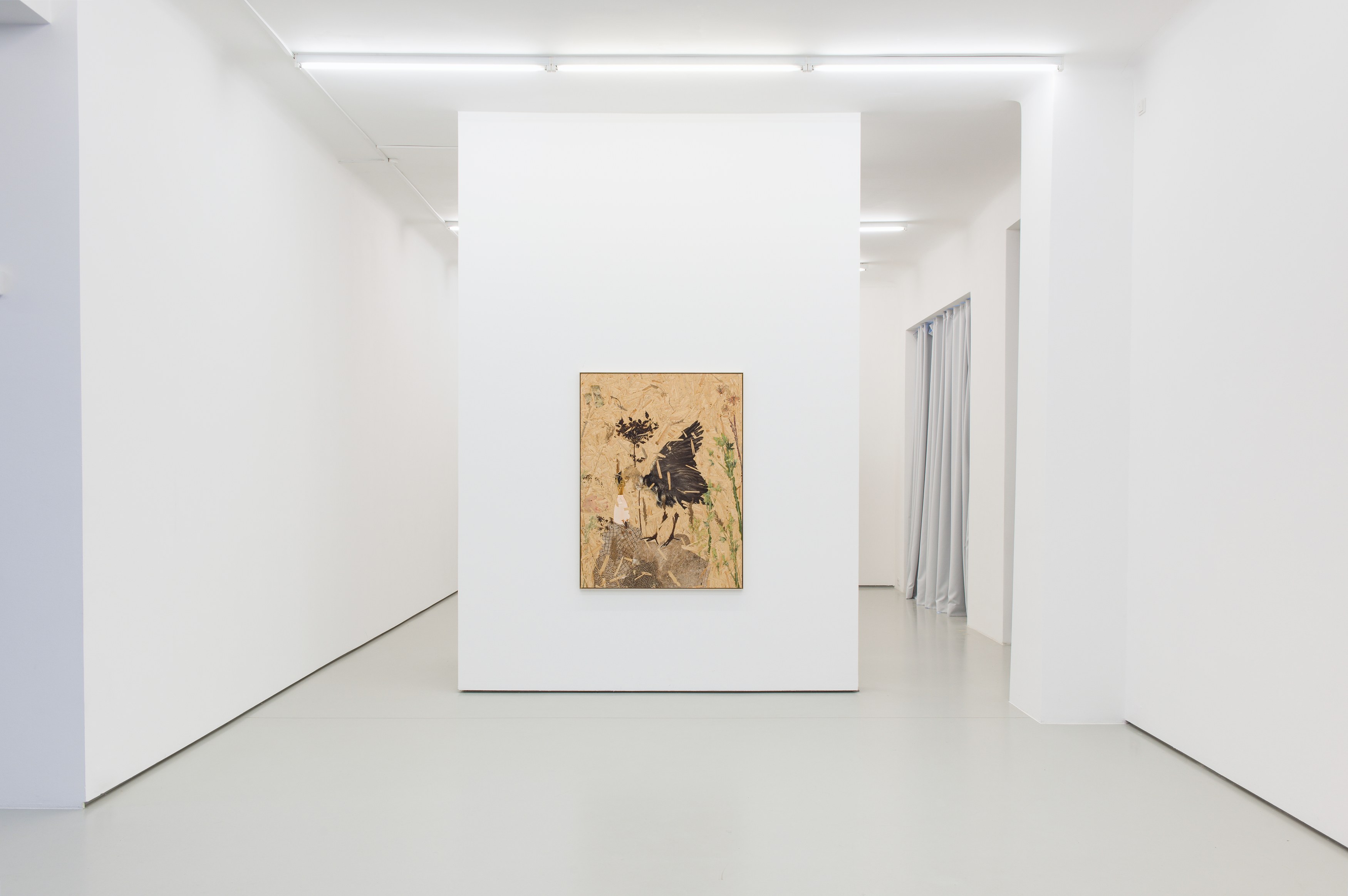 Julius von Bismarck, Grenzen der Intelligenzen at alexander levy, Berlin and LEVY Galerie, Berlin, photo 9