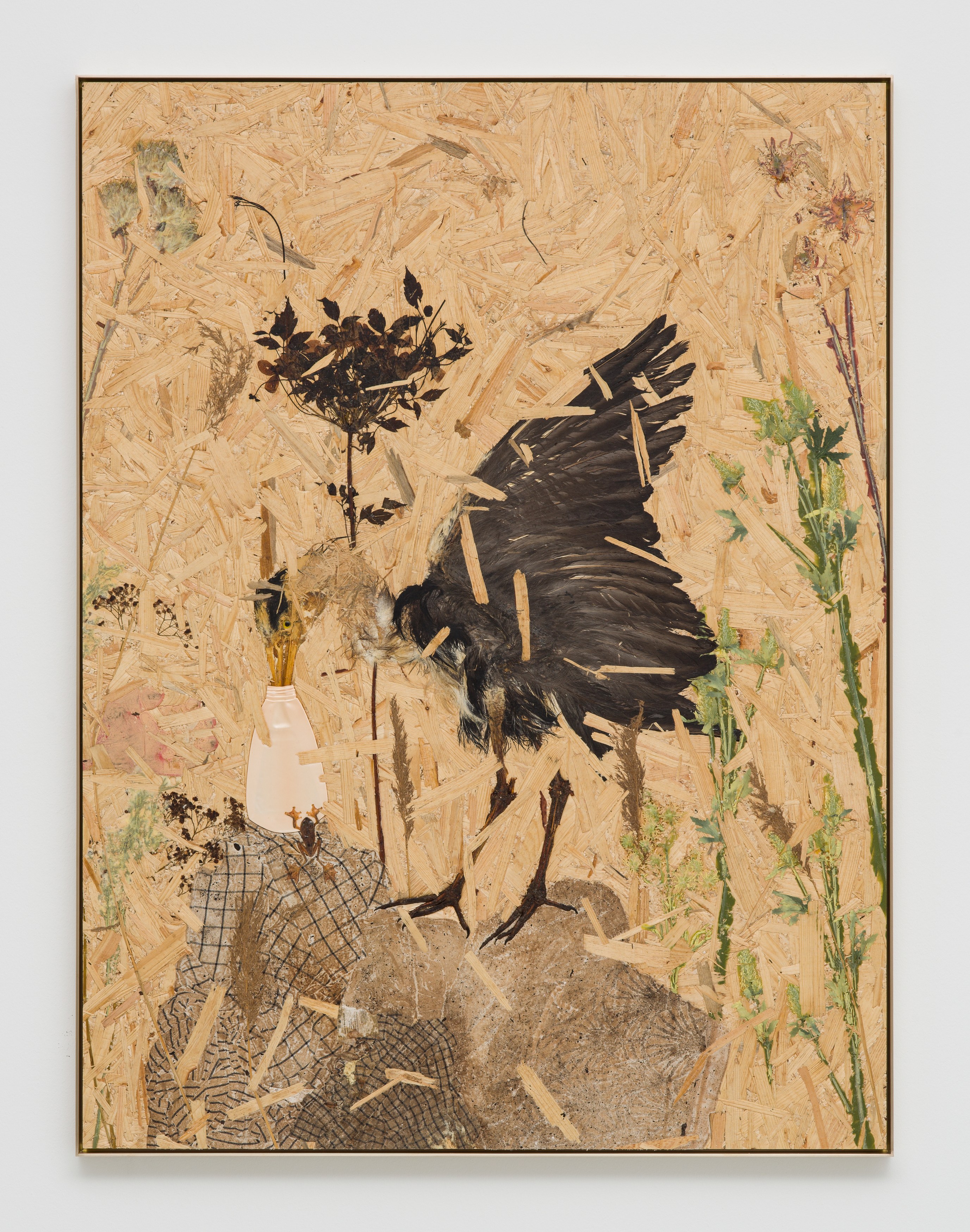 Julius von Bismarck, Grenzen der Intelligenzen at alexander levy, Berlin and LEVY Galerie, Berlin, photo 7