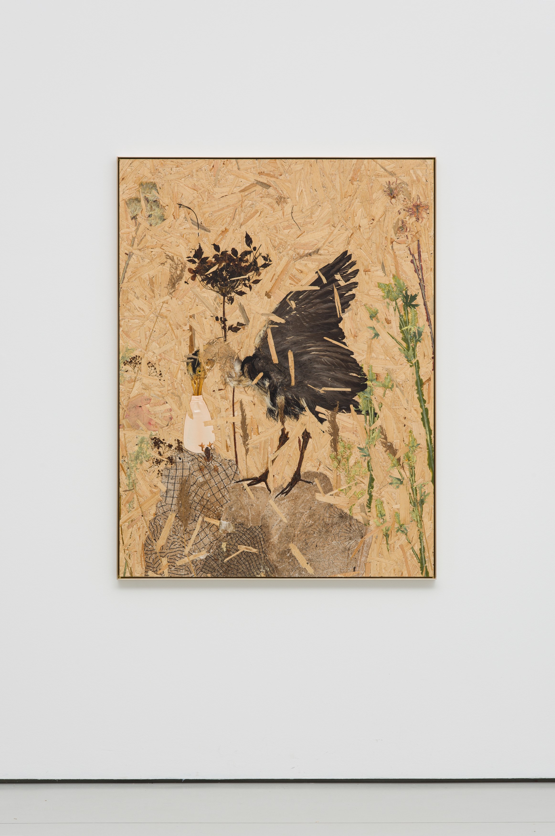 Julius von Bismarck, Grenzen der Intelligenzen at alexander levy, Berlin and LEVY Galerie, Berlin, photo 8