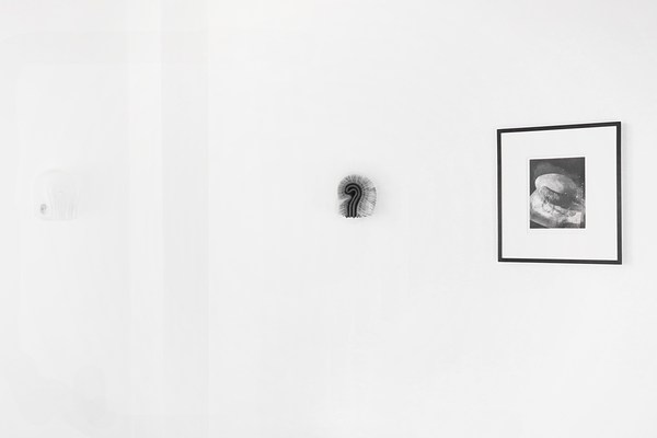 Image 3 of 38