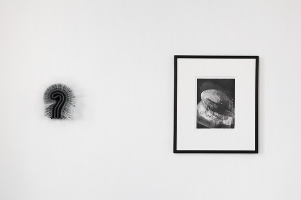Image 4 of 38