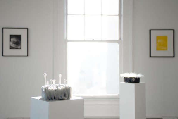 Image 9 of 38