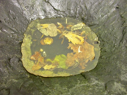 Image 11 of 25