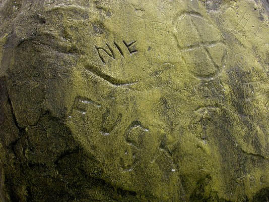 Image 10 of 25