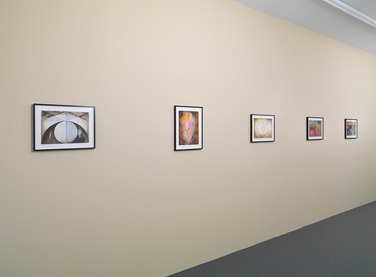 Image 5 of 27