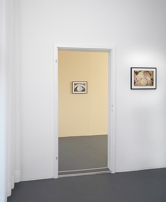 Image 8 of 27