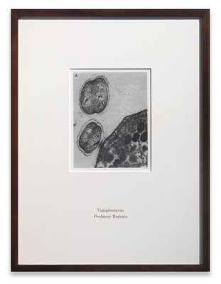 Image 15 of 24