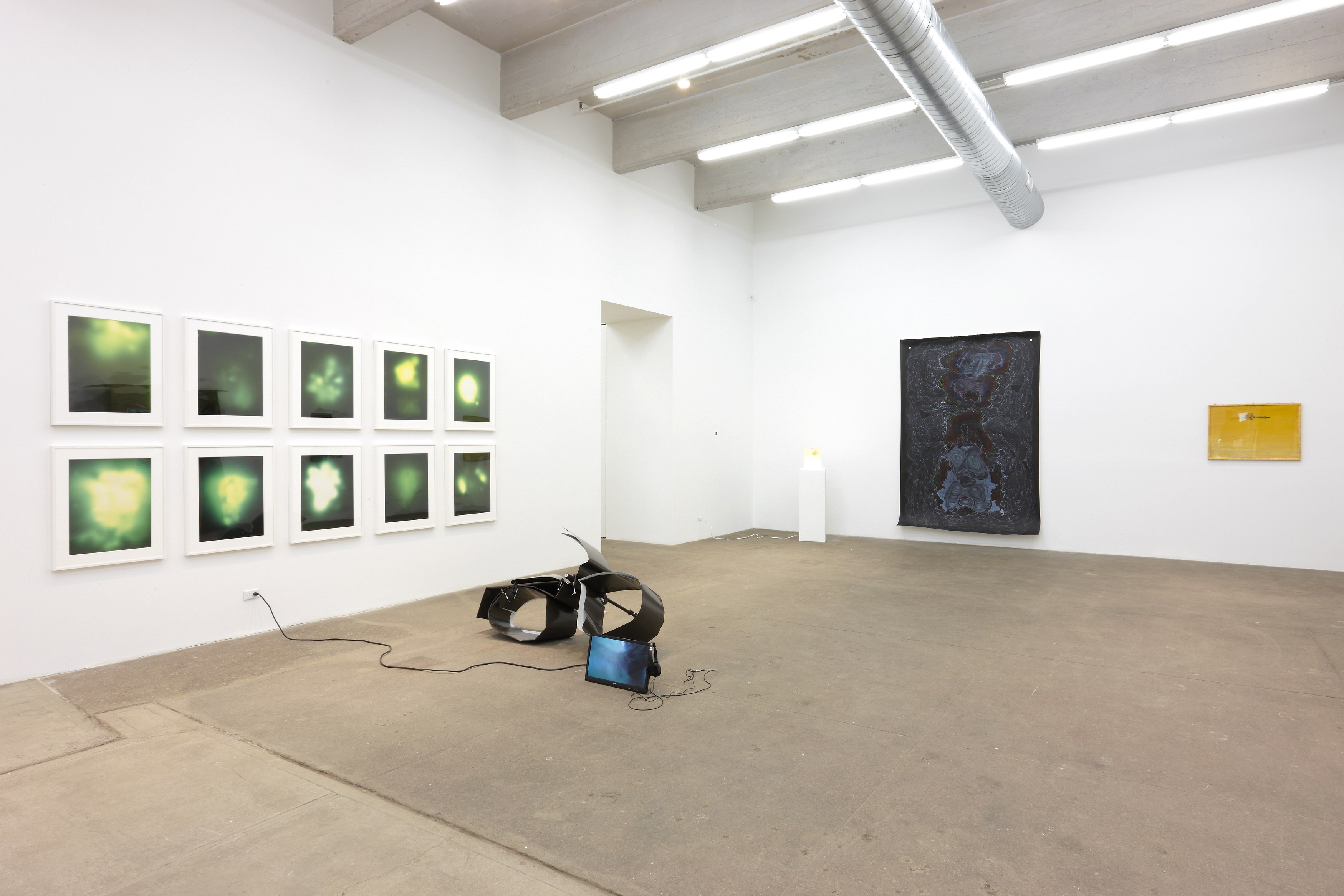 The Radiants, The Radiants at Bortolami, photo 3
