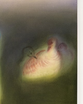 Image 13 of 32
