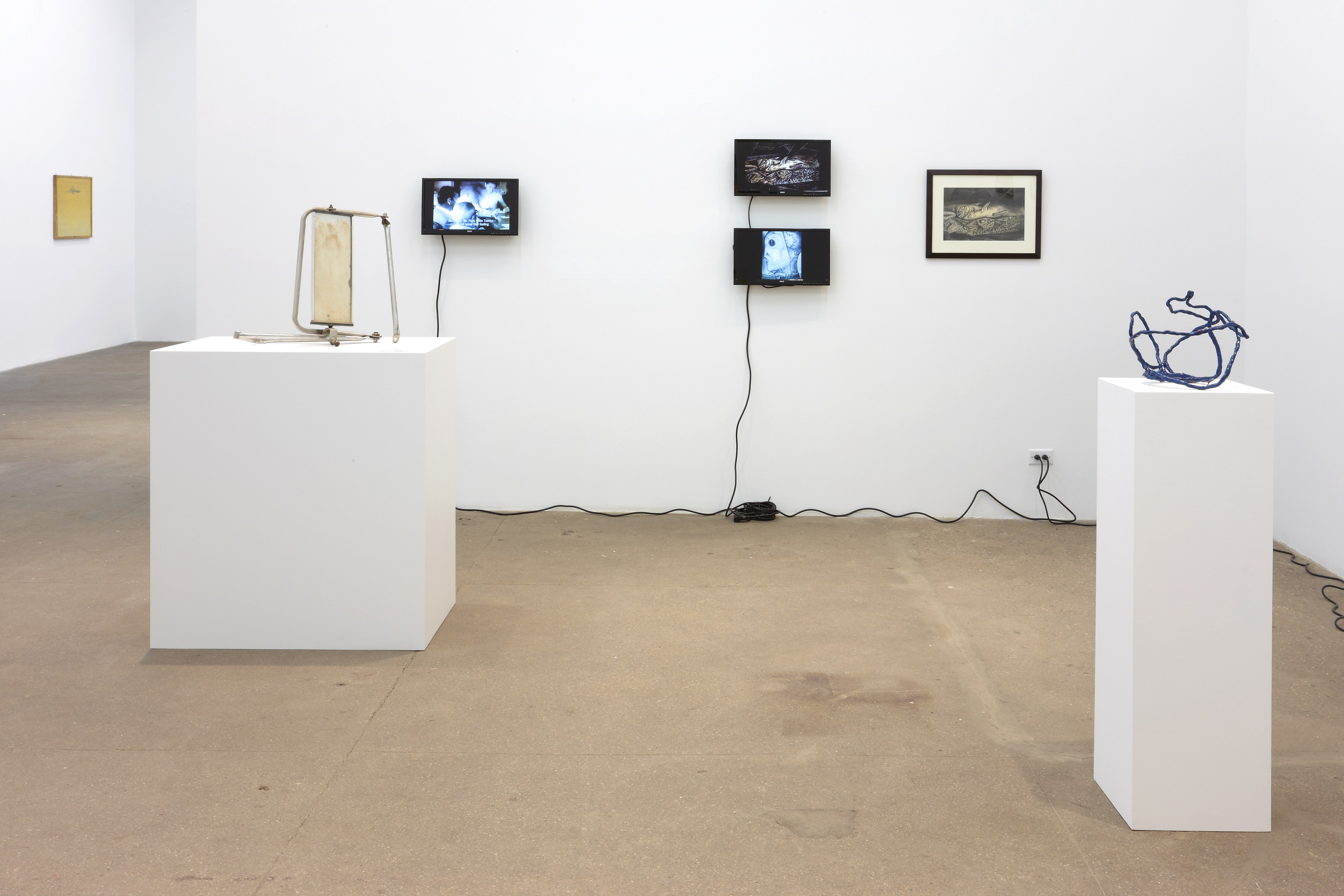 The Radiants, The Radiants at Bortolami, photo 21