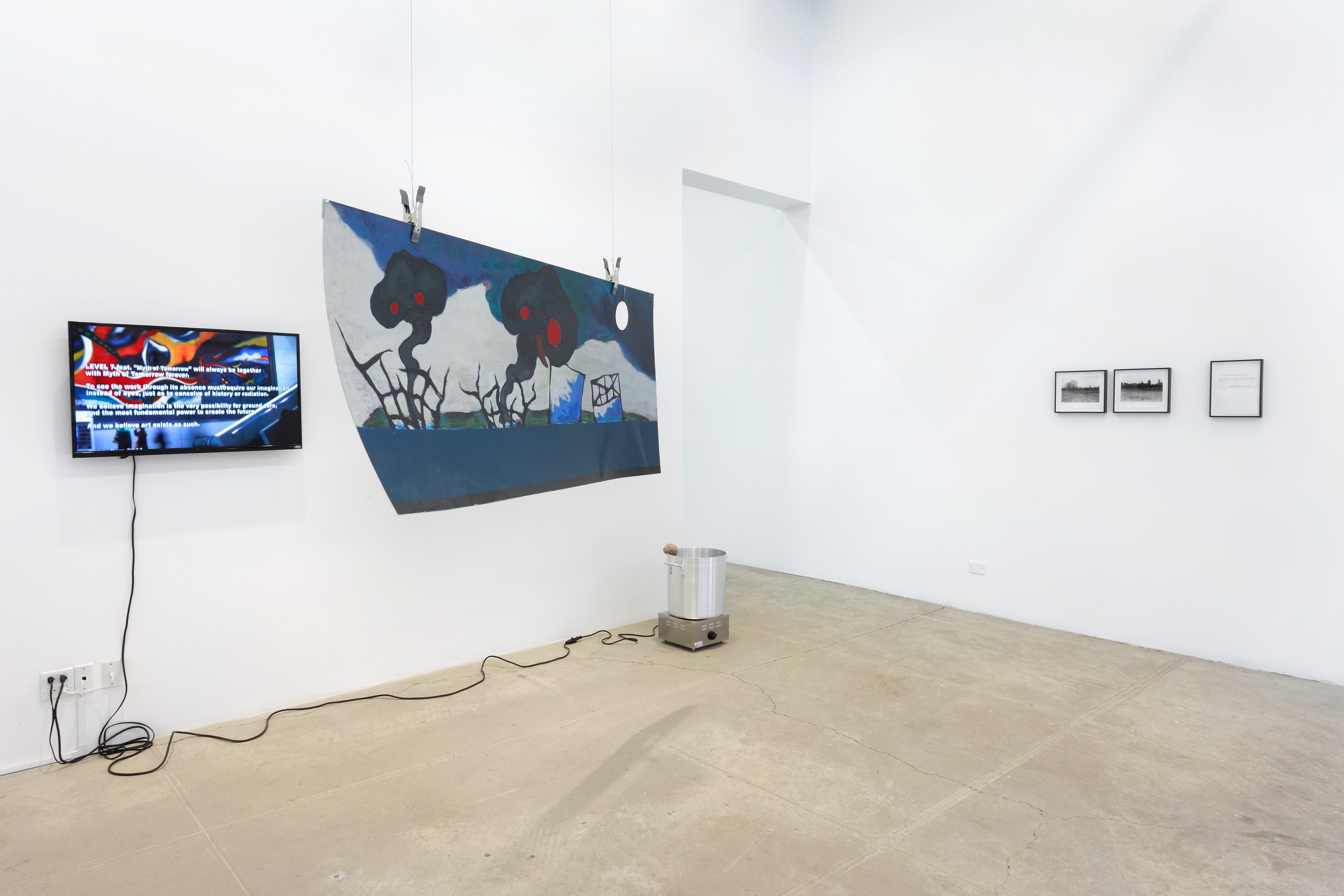 The Radiants, The Radiants at Bortolami, photo 22