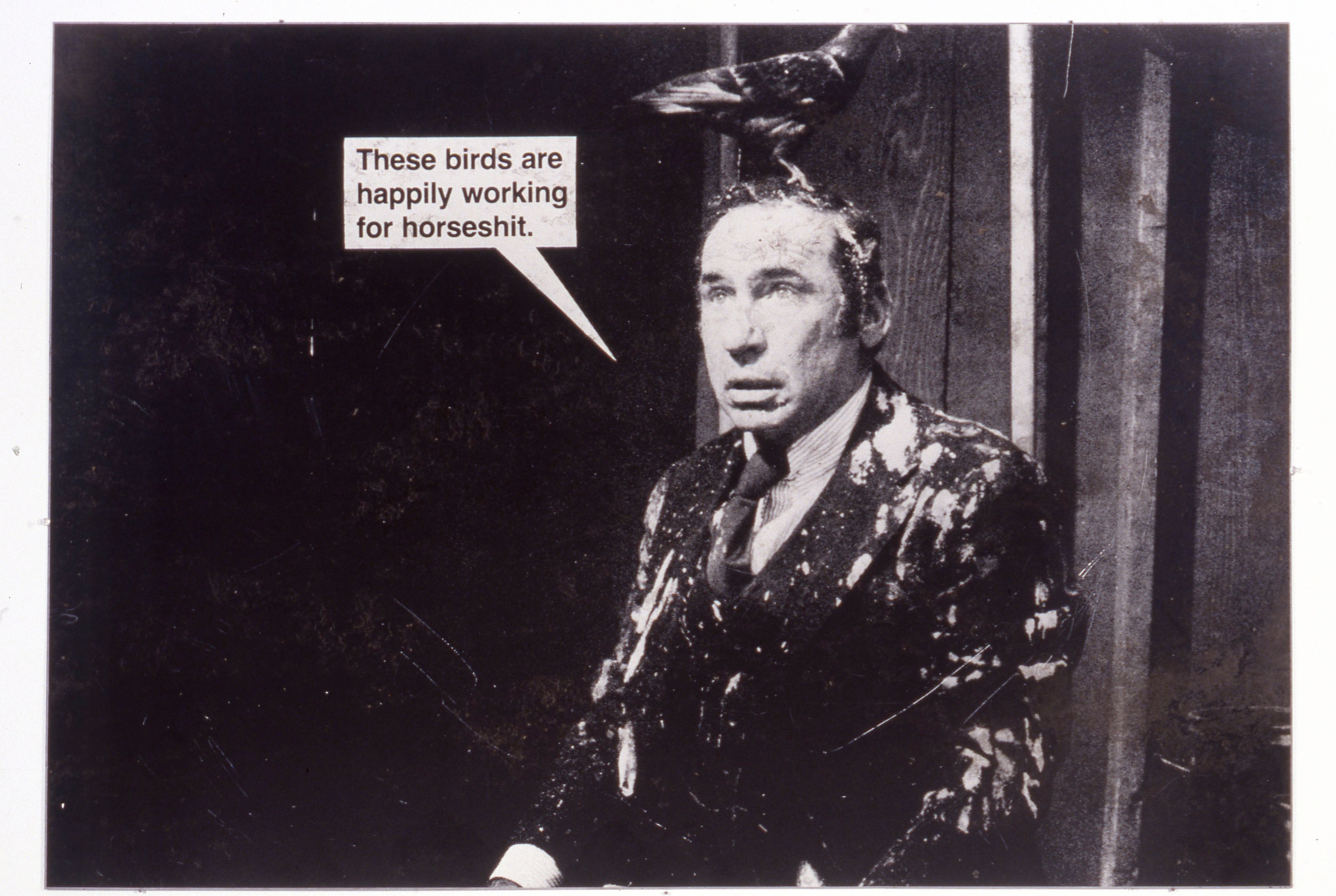 Lutz Bacher, Jokes at American Fine Arts, photo 7