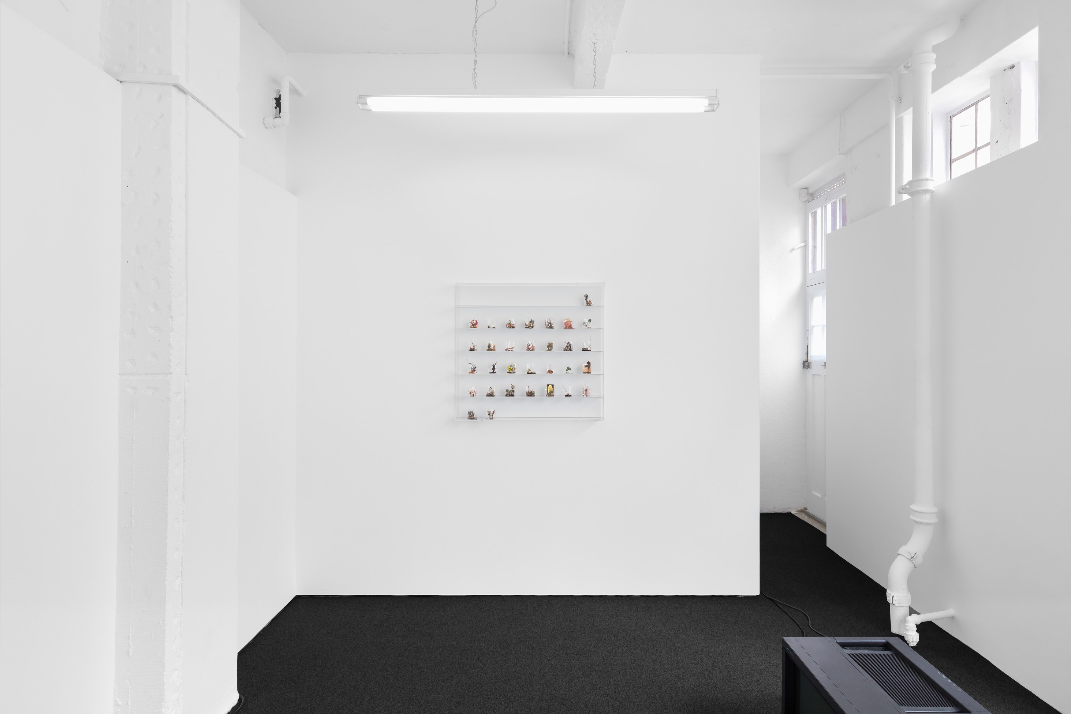 Yuji Agematsu, Eli Coplan, Quad at A. Squire, photo 17