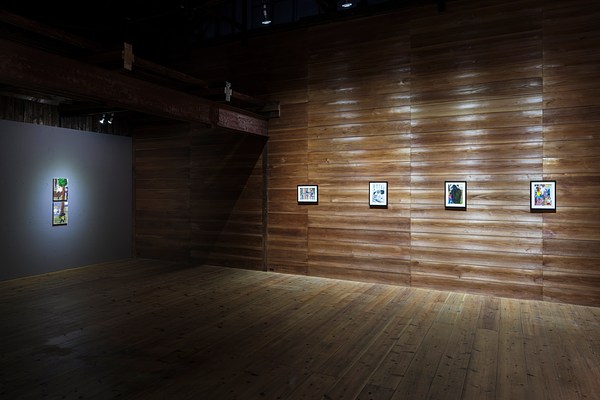 Image 5 of 20