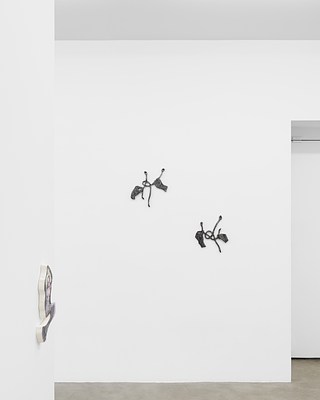 Image 9 of 21