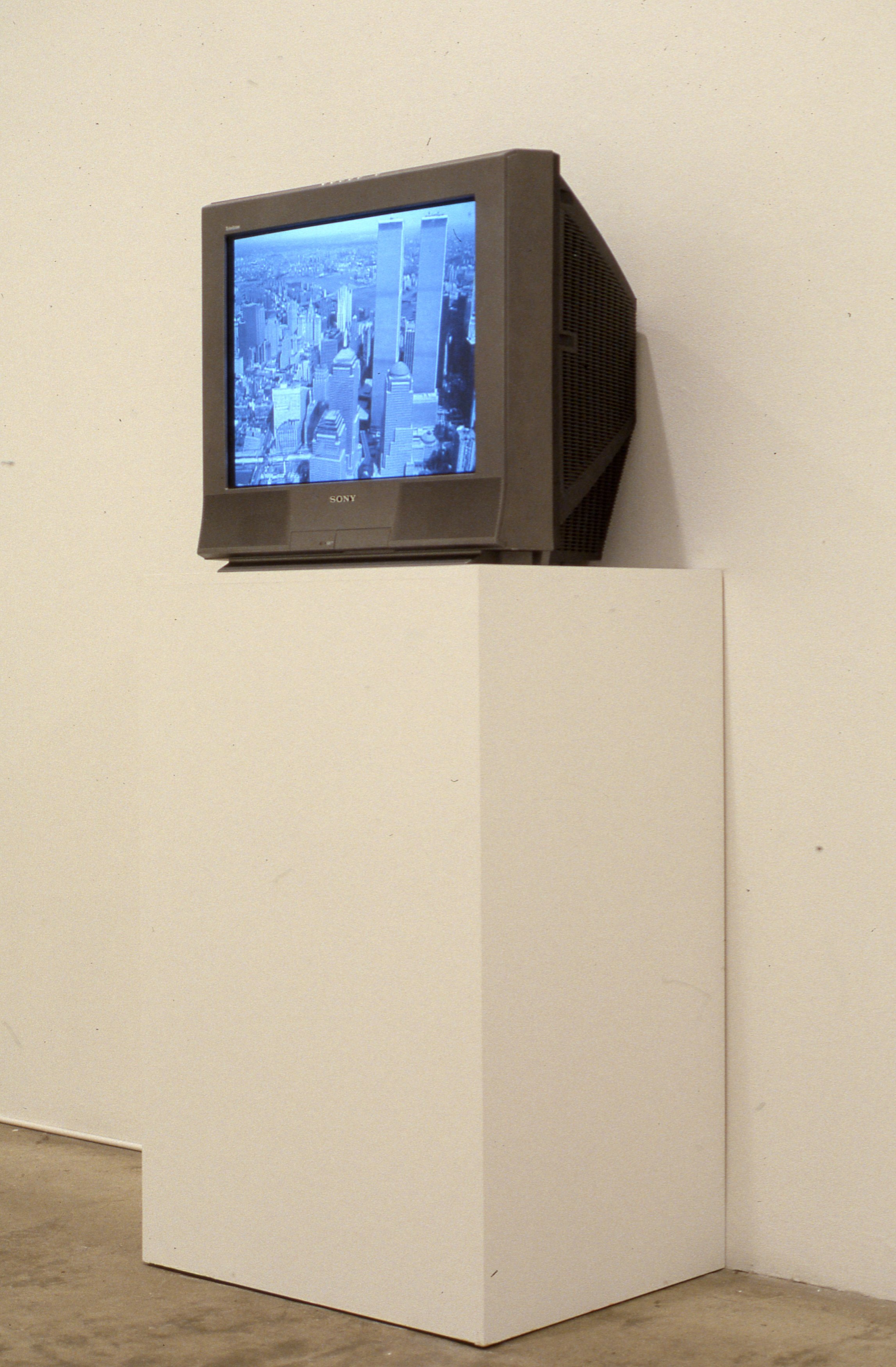 Lutz Bacher, Manhatta at American Fine Arts, photo 20