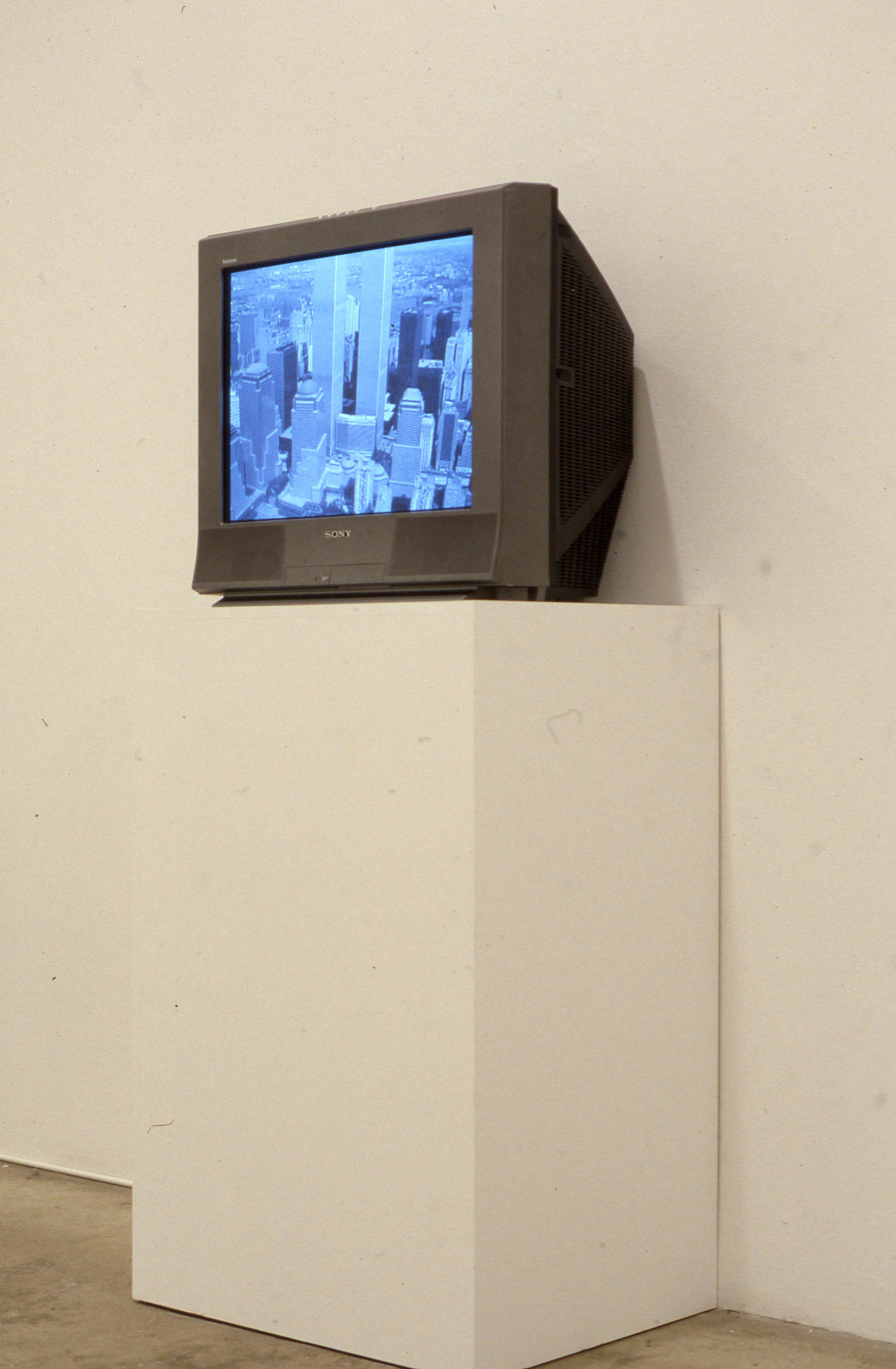 Lutz Bacher, Manhatta at American Fine Arts, photo 19