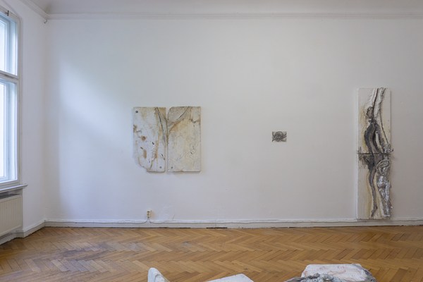 Image 2 of 15