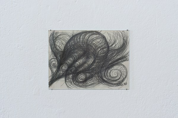 Image 5 of 15