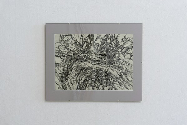 Image 7 of 15