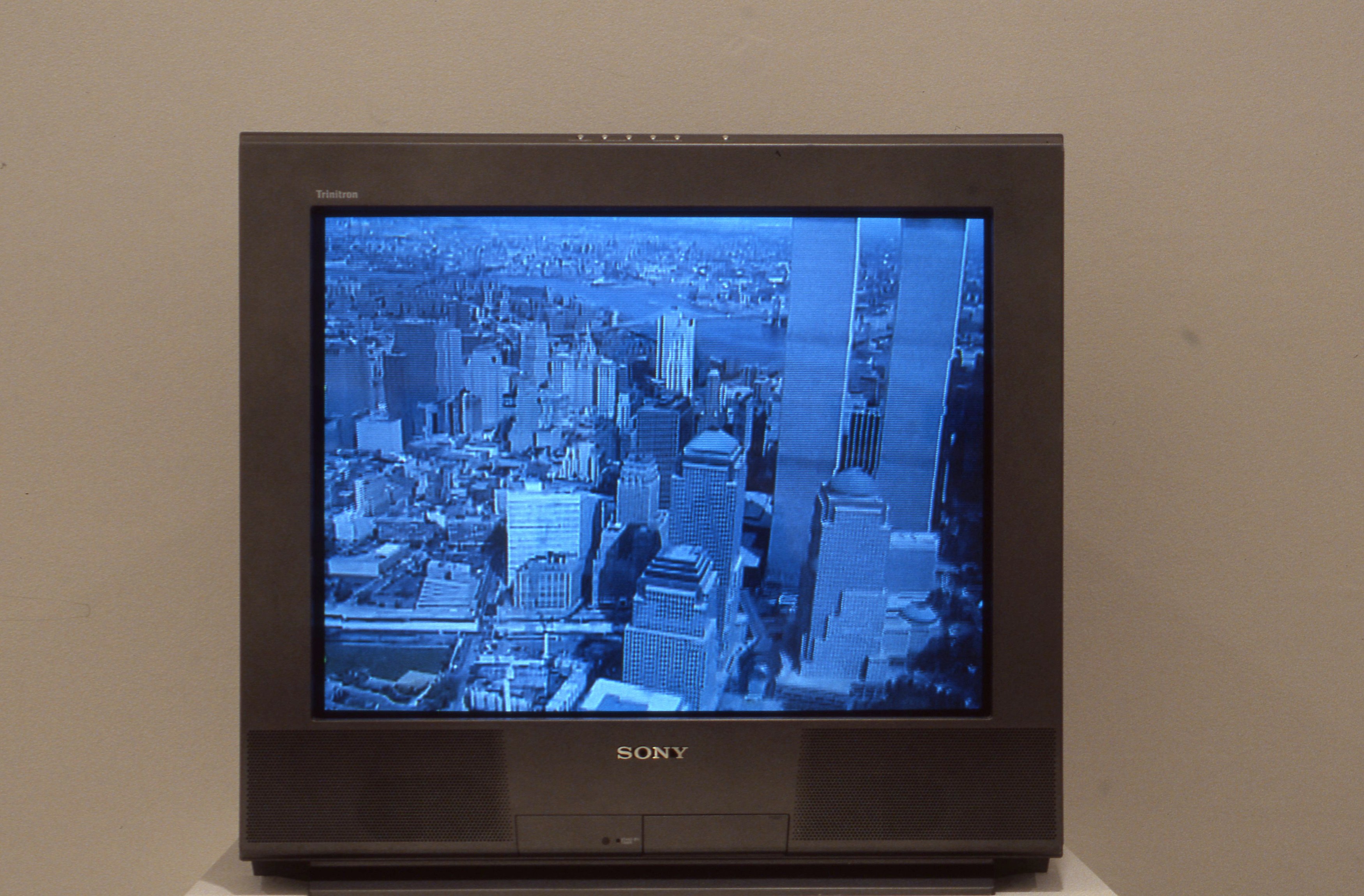 Lutz Bacher, Manhatta at American Fine Arts, photo 28